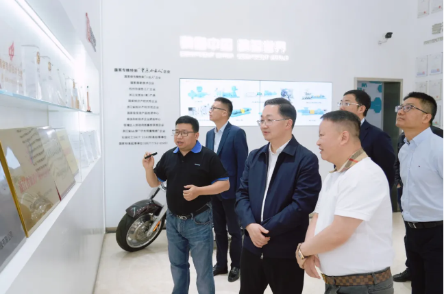 錢(qián)塘區(qū)區(qū)長(zhǎng)沈燕俊帶隊(duì)調(diào)研！德帕姆產(chǎn)業(yè)配套項(xiàng)目取得新進(jìn)展！